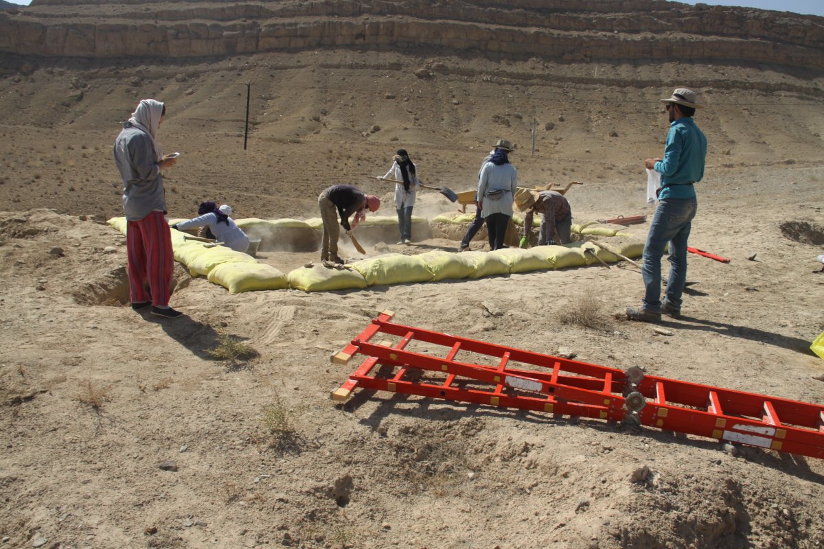 Archeology school in Iran