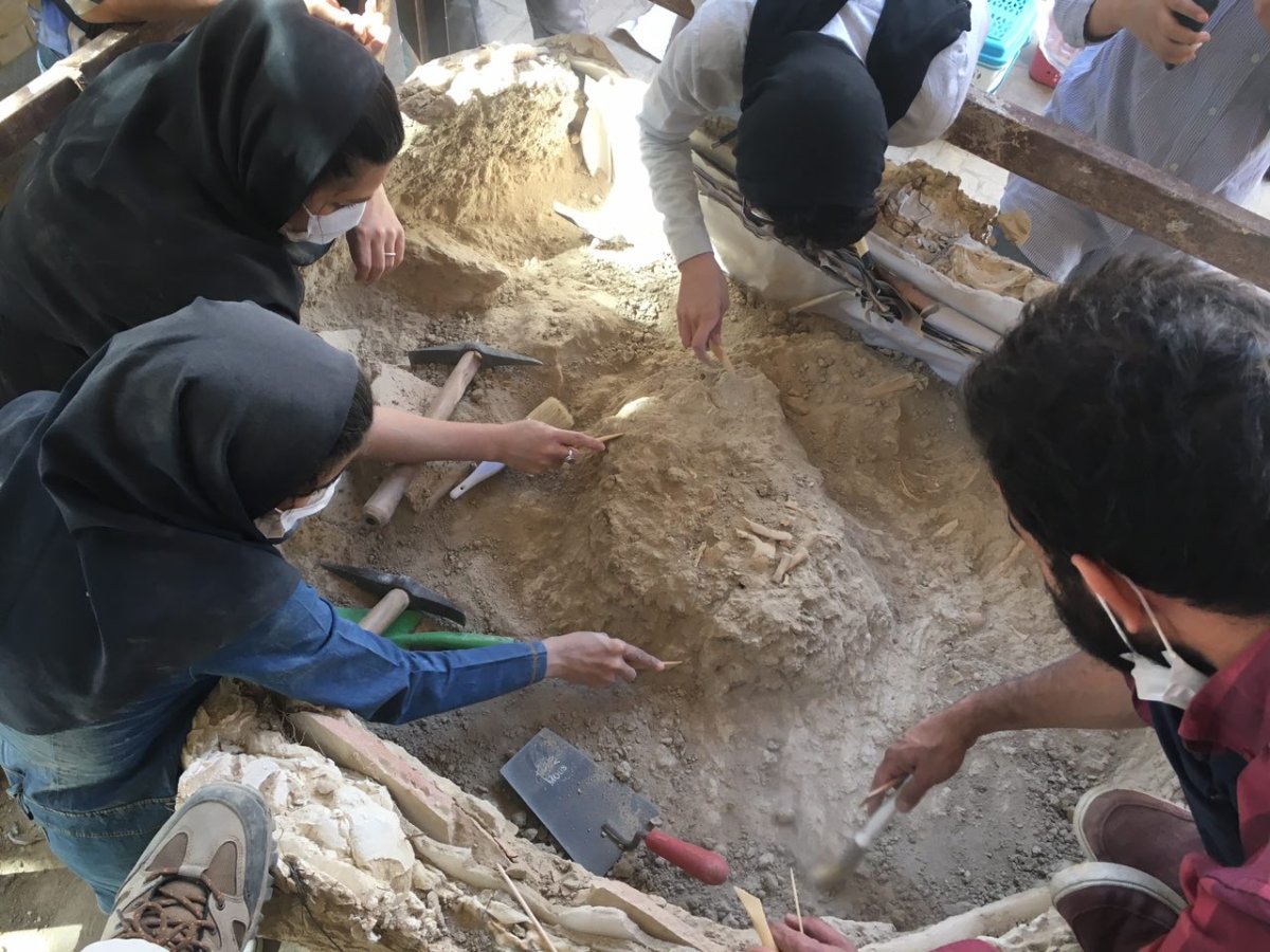 Archeology school in Iran